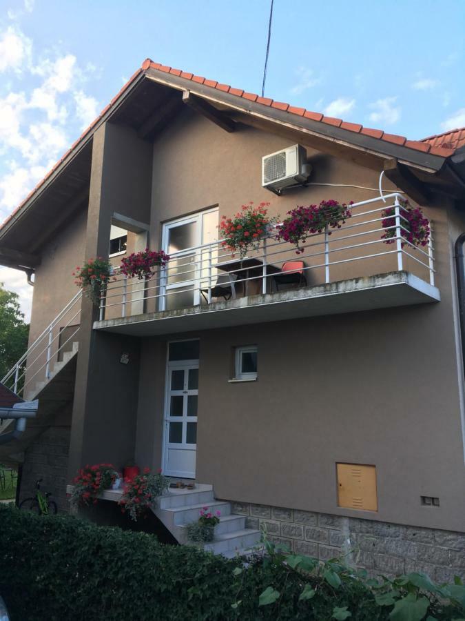 Guest House Ruza Tenja Εξωτερικό φωτογραφία